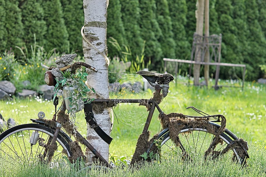 black road bicycle beside tree trunk, bike, rusty, overgrown, HD wallpaper