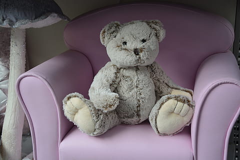 plush, teddy bear, sitting, soft, nice, hug, doudou, child HD wallpaper