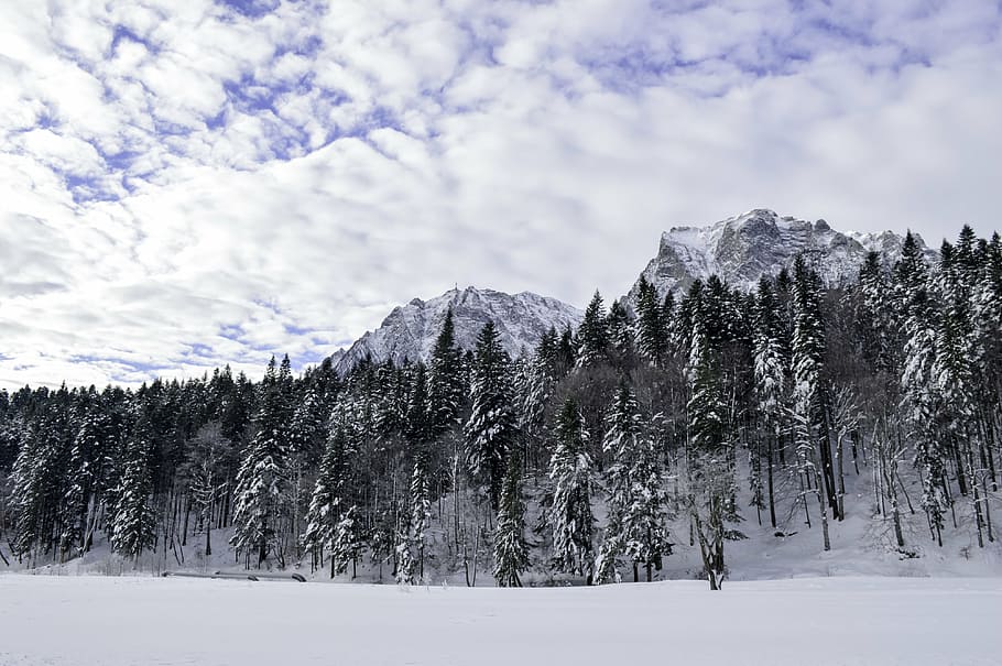 cold, december, forest, frost, frozen, ice, landscape, mountain HD wallpaper