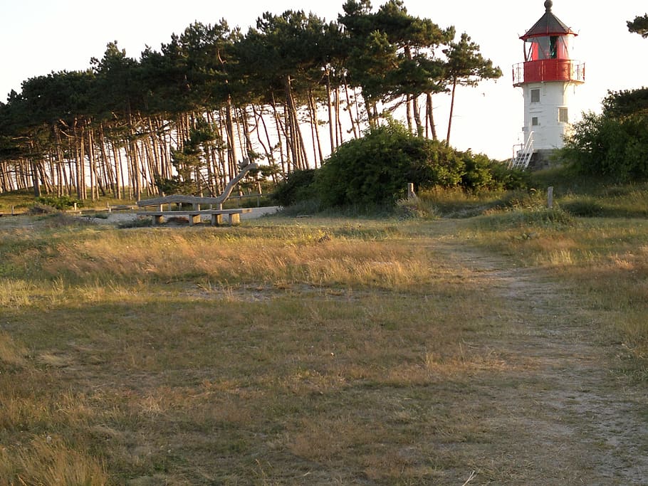 hiddensee, lighthouse, wooden bench, plant, tree, built structure HD wallpaper