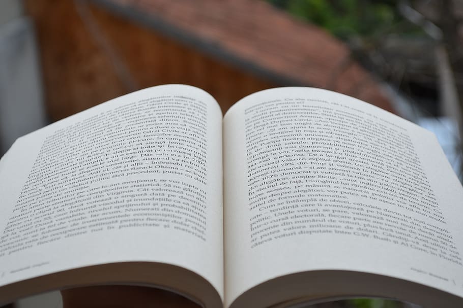 selective focus photography of book opened, words, text, page HD wallpaper