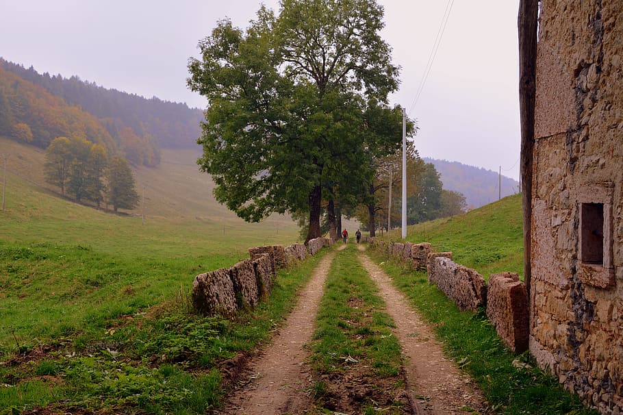 trail, via, trees, mountain, path, the european path, e5, lessinia HD wallpaper