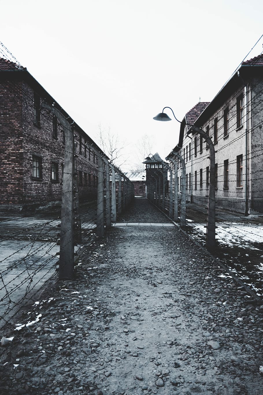 alley in between high building, empty pathway between barbwire fence HD wallpaper