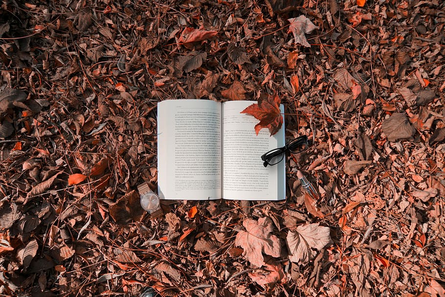 Book lost in the forest, reading book near black framed sunglasses at daytime HD wallpaper