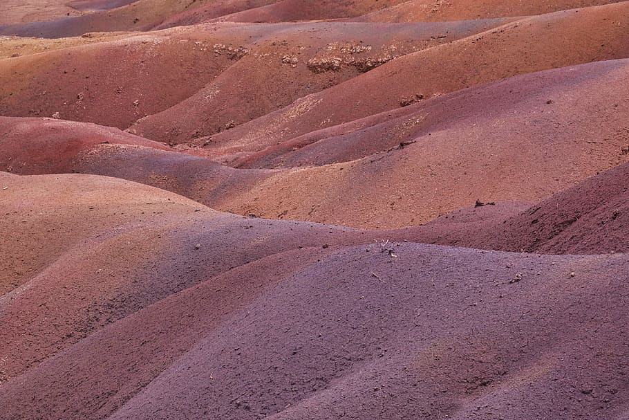 desert field during daytime, landscape, beach, sand, dune, hill HD wallpaper