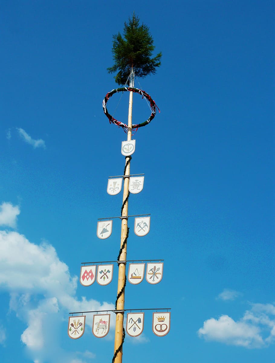 maypole, tree, bavaria, birch, custom, customs, wont, decorated HD wallpaper