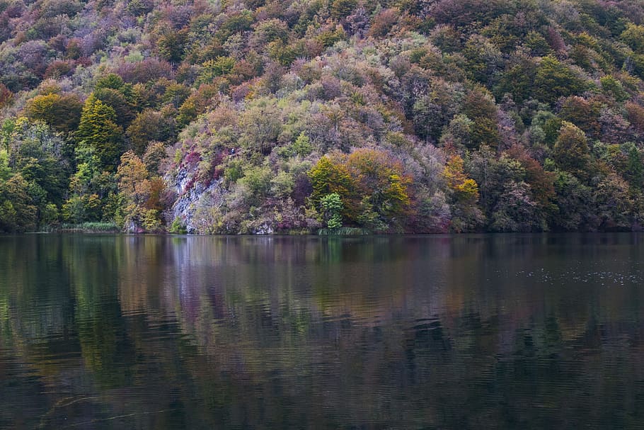 green trees near body of water, landscape photography of mountain with trees HD wallpaper