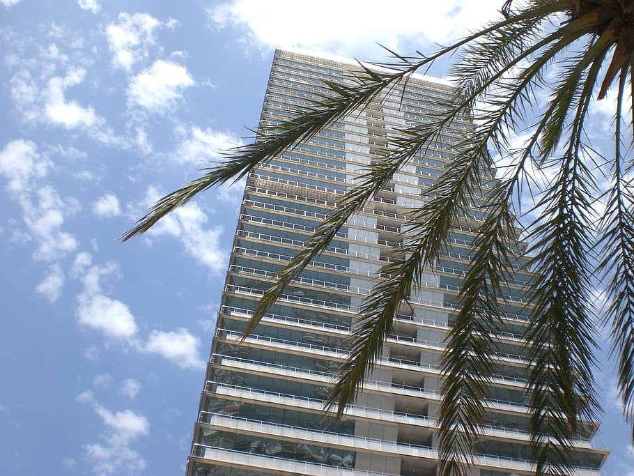 Barcelona, Skyscraper, Building, no people, day, low angle view HD wallpaper