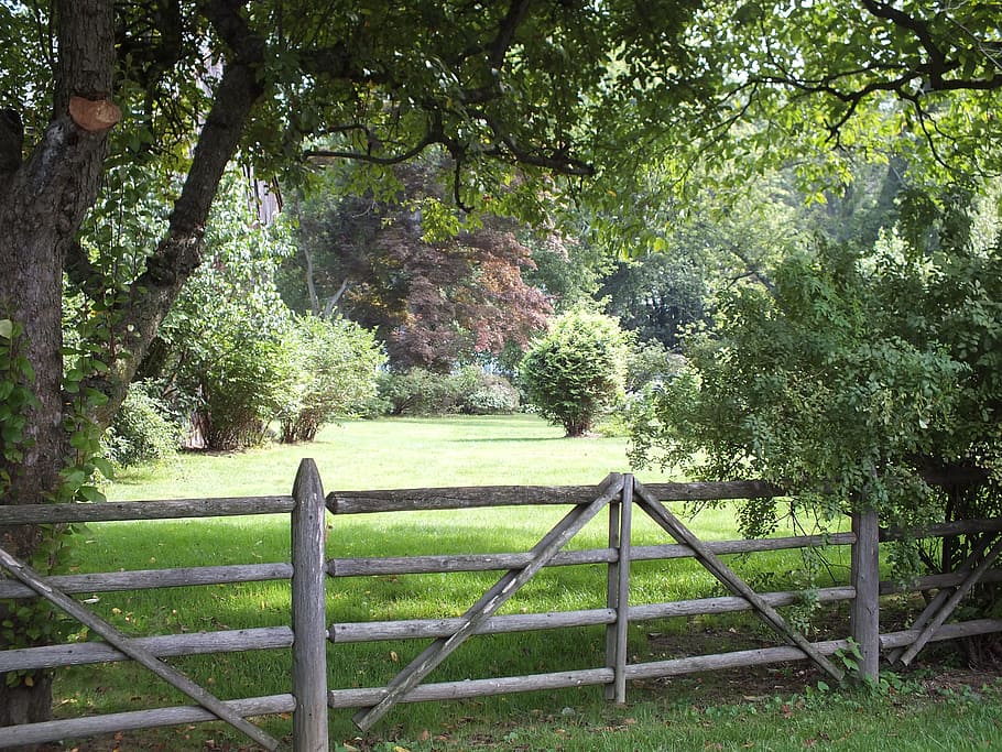 gray wooden fence and green leaf tree, split rail, farm, old, HD wallpaper