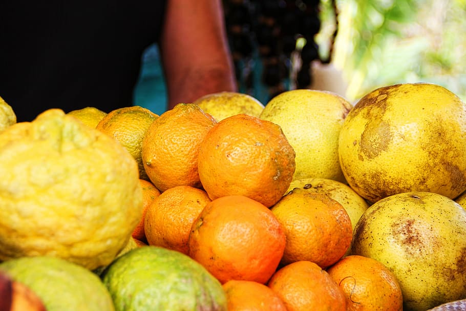 bunch of fruits, orange, lemon, healthy, yellow, vitamins, fruity HD wallpaper