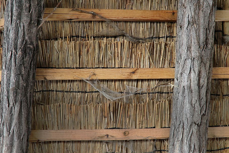 brown tree truck, Straw, Hut, Ethno, Cobweb, Spider, Spider Webs HD wallpaper