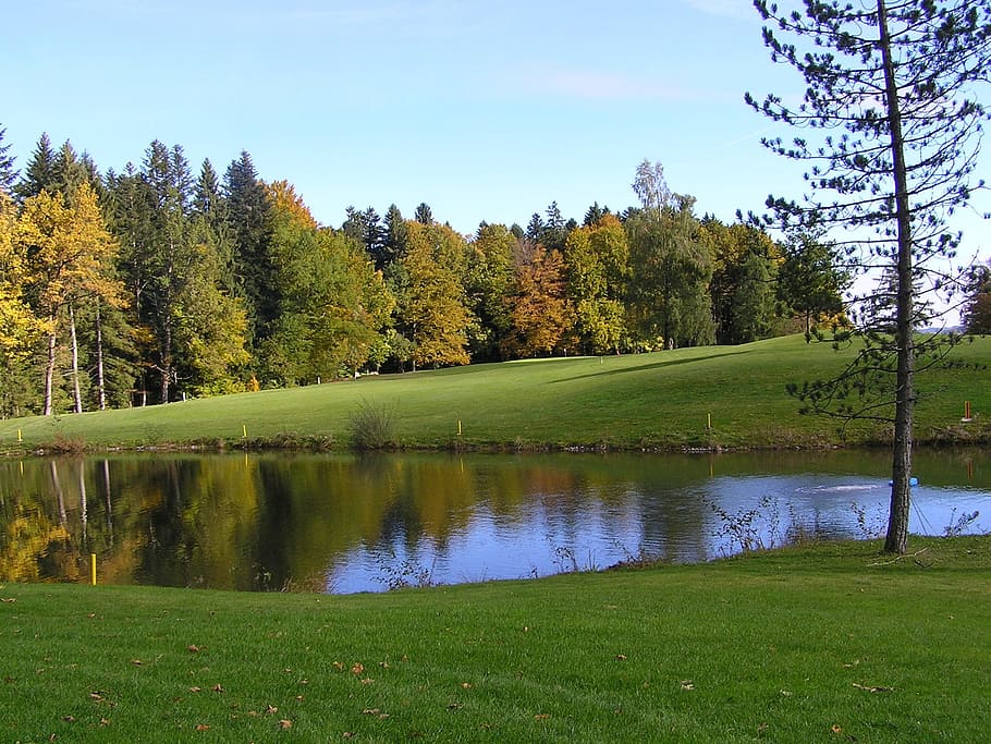green lawn field near body of water during daytime, Golf Course HD wallpaper