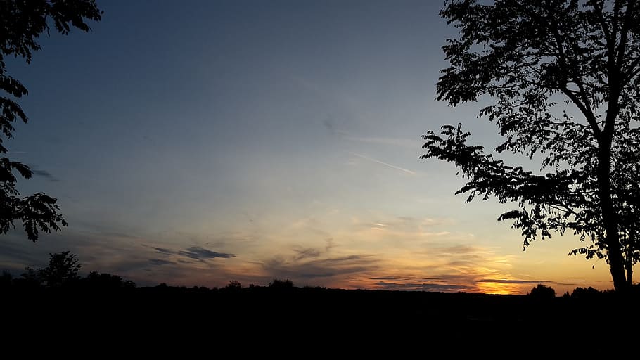 dramatic, cloudscape, sunset, silhouette, sky, tree, plant HD wallpaper