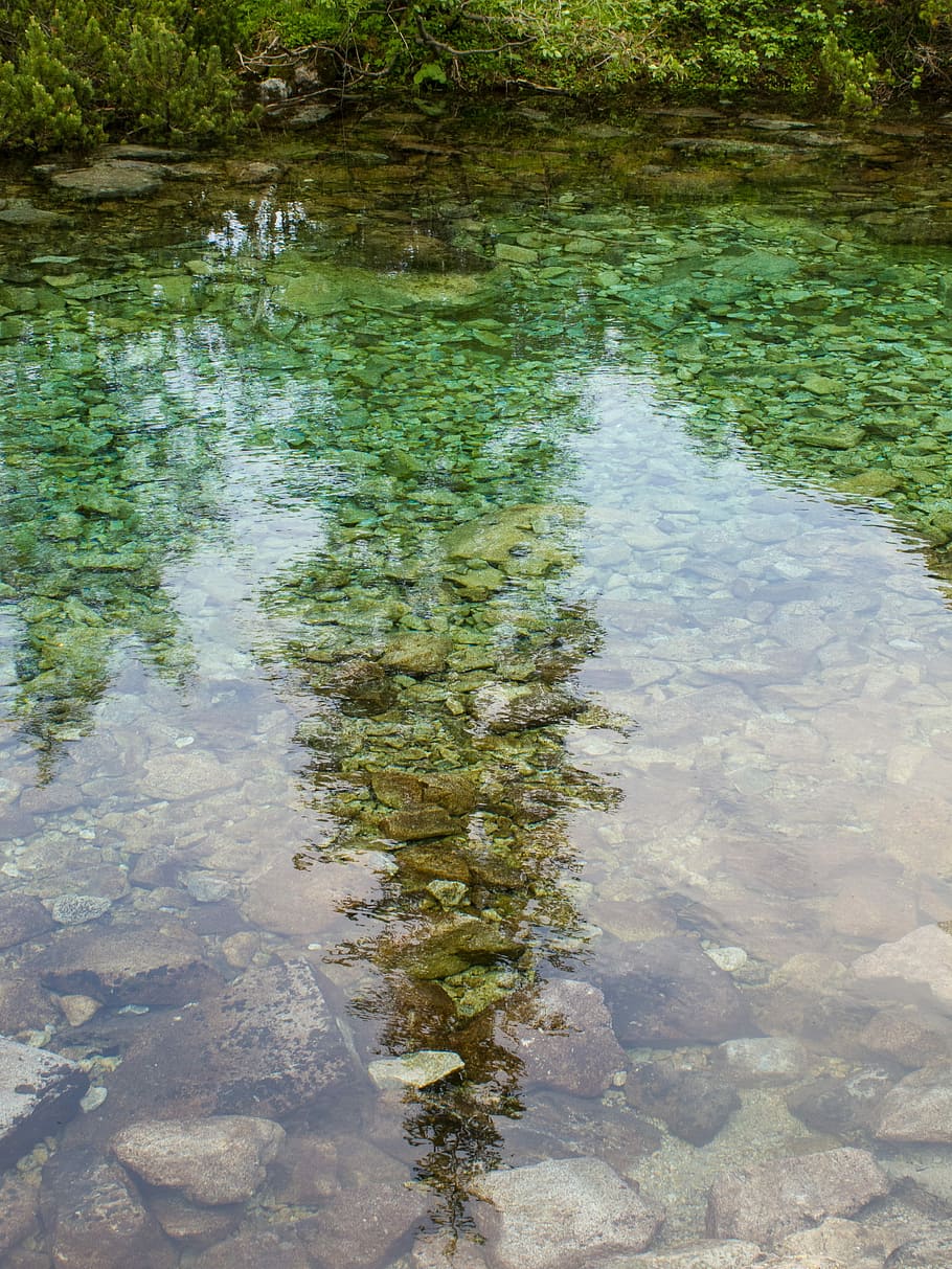 Water, Pleso, Reflection, Mirror, Tree, stones, peace of mind HD wallpaper