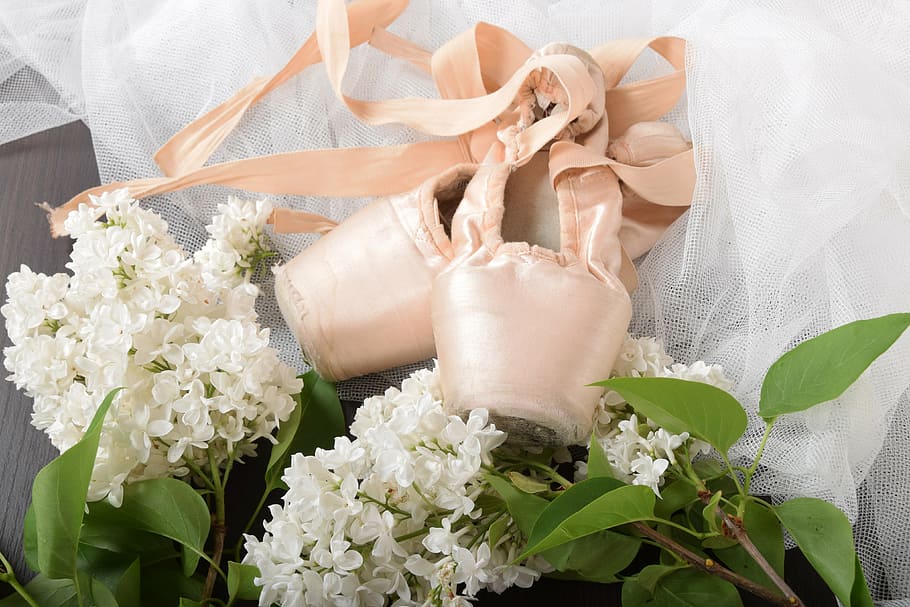 old, classic, dance, shoes, flower, flowering plant, hand, human hand HD wallpaper