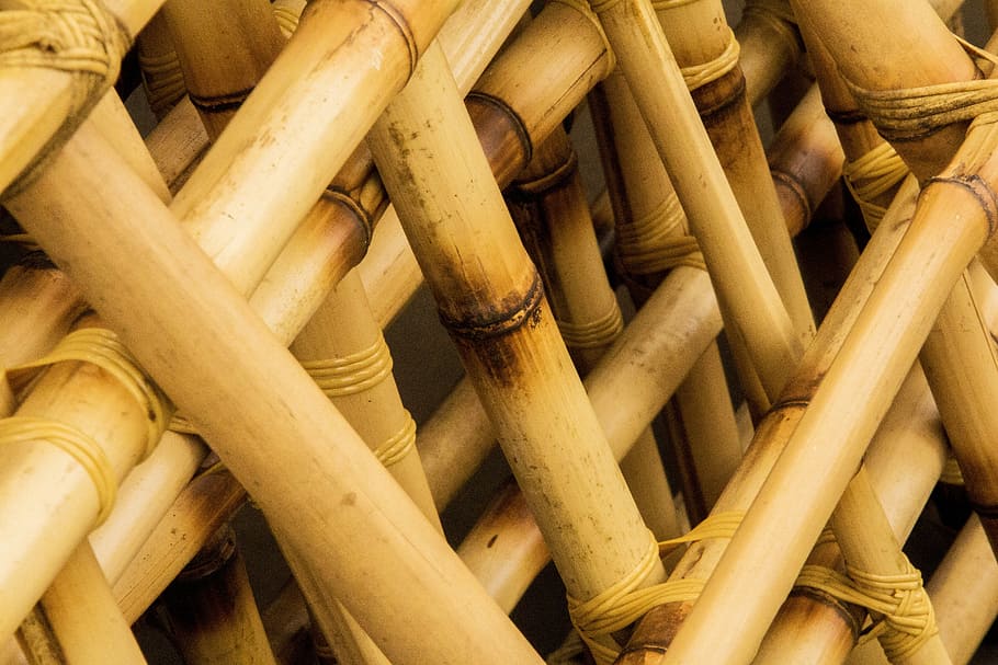 bamboo, arrangement of bamboo, wood, of wood, food, no people