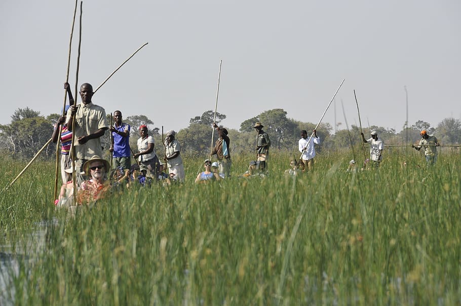 mokoro, botswana, okavango, group of people, grass, nature HD wallpaper