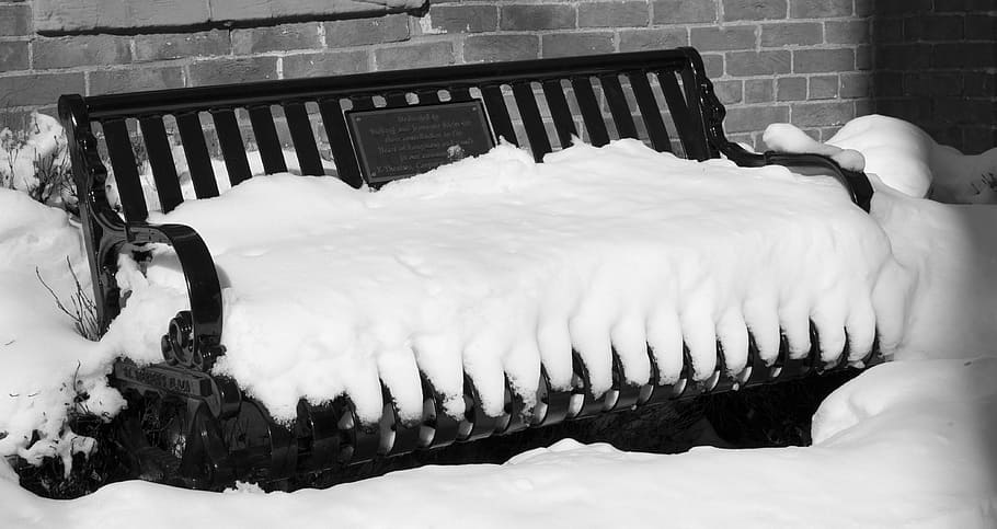 snow, bench, white, day, winter, colorado, cold, weather, ice HD wallpaper