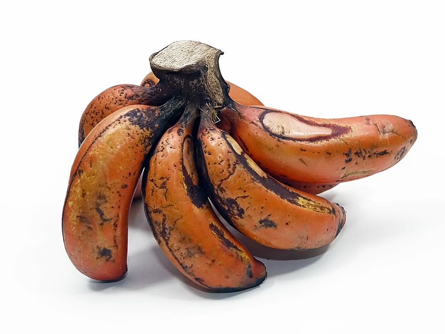 red dacca, bananas, reddish, fruit, nutrition, sweet, healthy HD wallpaper