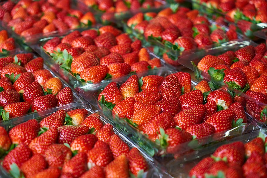 strawberry packs, fruit, fresh, beautiful, red, sunday, garden HD wallpaper