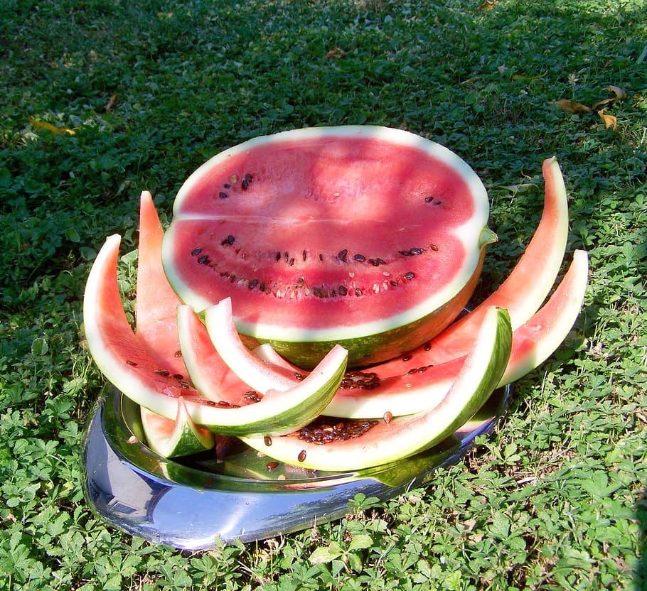 melon, watermelon, fruit, healthy eating, food, food and drink HD wallpaper
