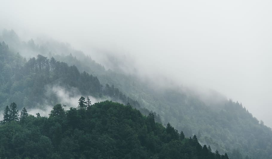 green leafed tree under white clouds, landscape photography of mountain summits with fogs HD wallpaper