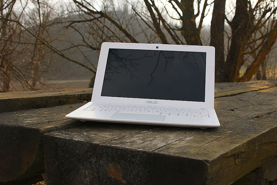 laptop, notebook, work, independent, tree, communication, wireless technology HD wallpaper