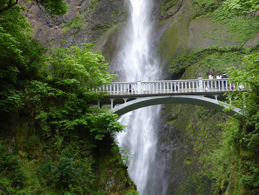 HD wallpaper: waterfall, bridge, bach, nature, tourism, plant, motion,  scenics - nature | Wallpaper Flare