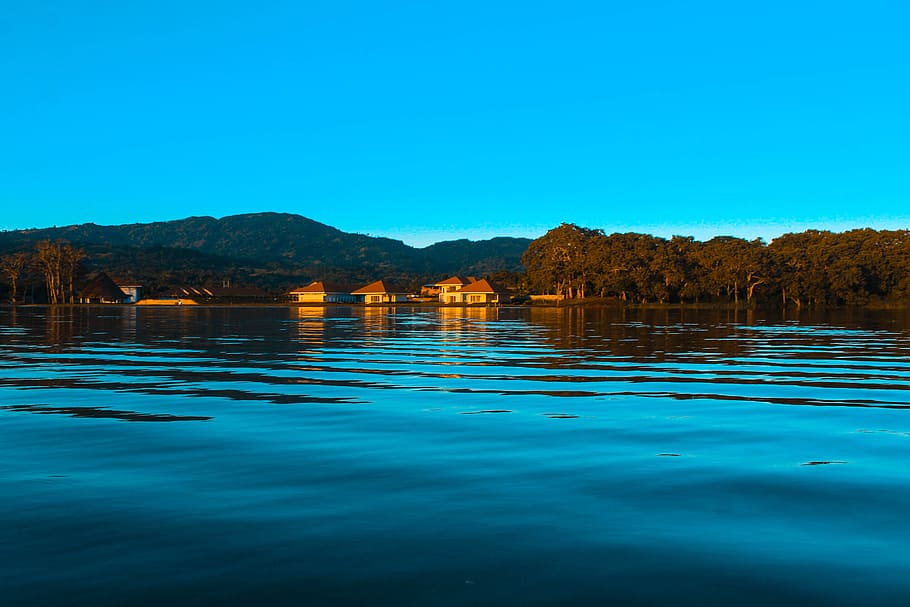 laguna, willow, peru, tarapoto, water, sky, blue, clear sky