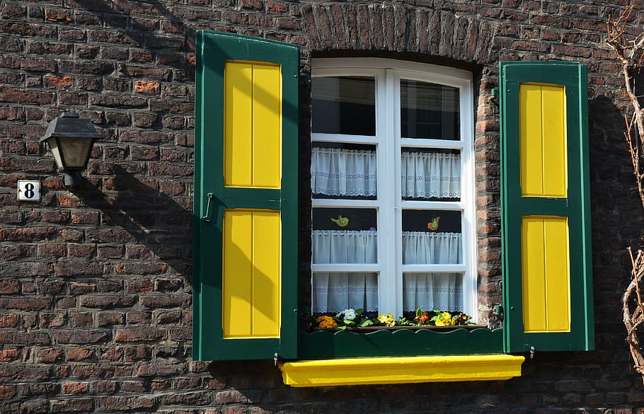 window, building, facade, yellow, green, age, architecture HD wallpaper