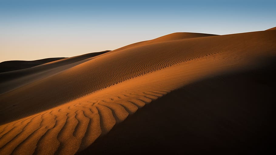 dune-desert-sand-arid.jpg