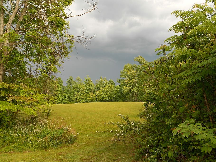 Field, Nature, Sky, Weather, storm, summer, clouds, grass, meadow HD wallpaper