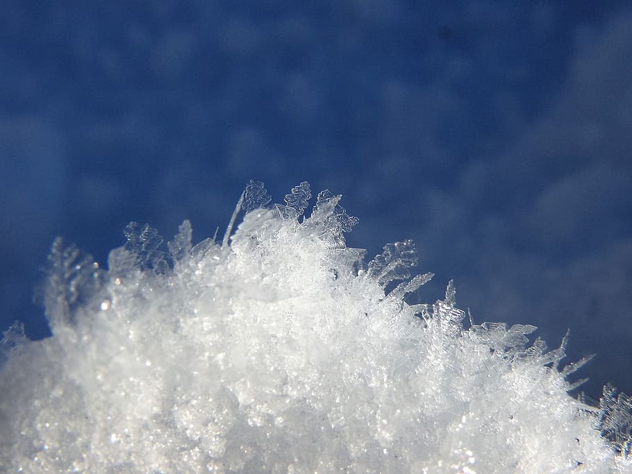 snow, ice, winter, cold temperature, white color, frozen, snowflake HD wallpaper