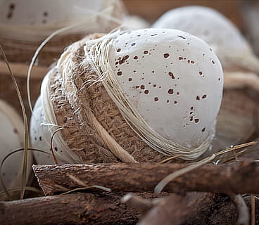 white and brown egg, easter egg, deco, tinker, natural product HD wallpaper