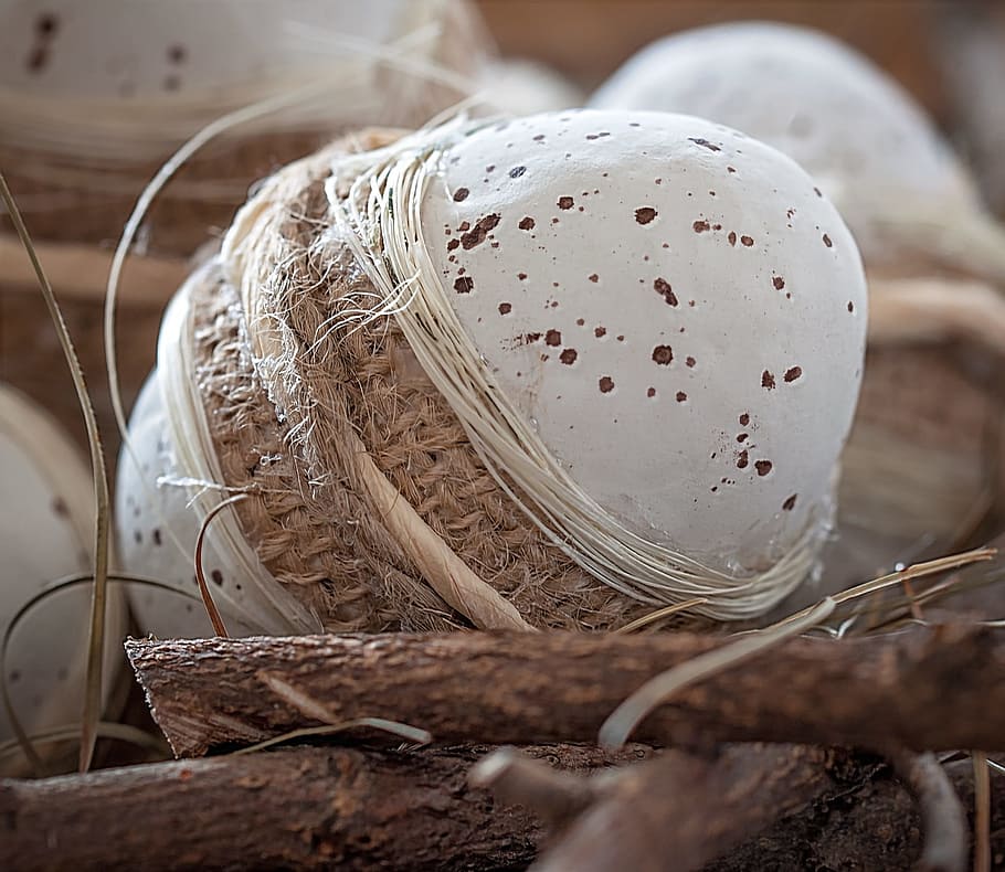 white and brown egg, easter egg, deco, tinker, natural product HD wallpaper