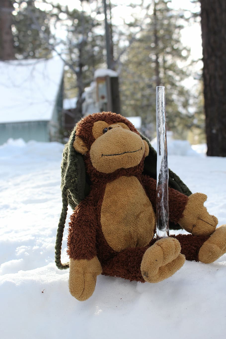 stuffed animal, monkey, snow, winter, cold temperature, stuffed toy HD wallpaper