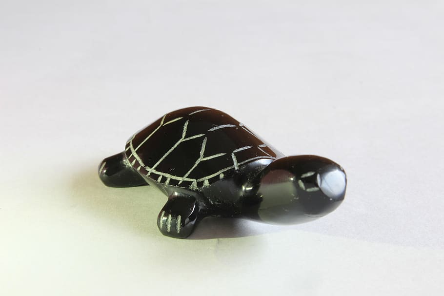 turtle, crafts, decoration, studio shot, indoors, single object HD wallpaper