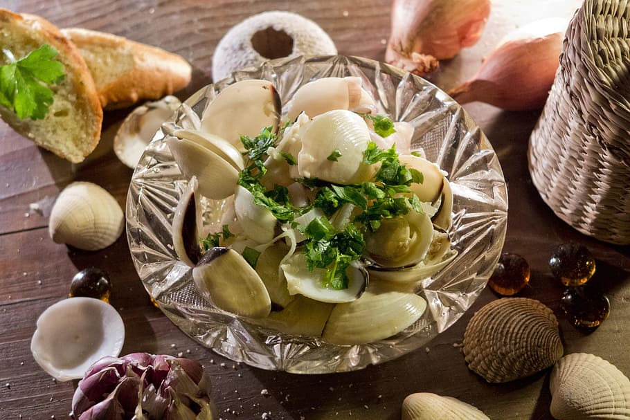 mussels, seafood, shells, eating, food and drink, freshness HD wallpaper