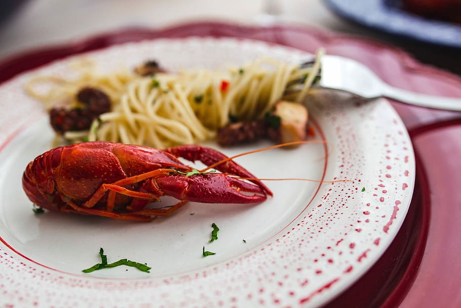 Fancy dinner with seafood pasta, crayfish and red wine by the table decorated with roses, HD wallpaper
