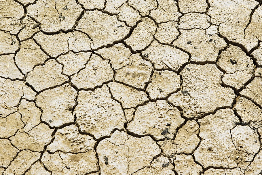 dried soil, drought, earth, desert, aridity, dry, land, nature, HD wallpaper