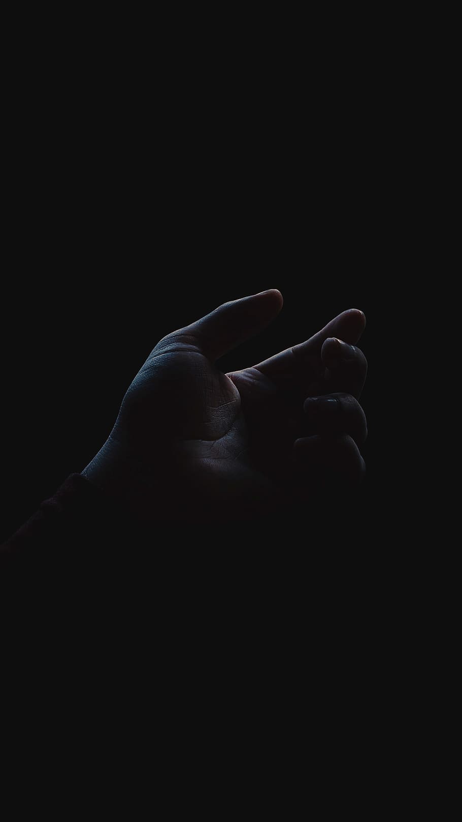 left person's palm, left human hand, light, dark, silhouette