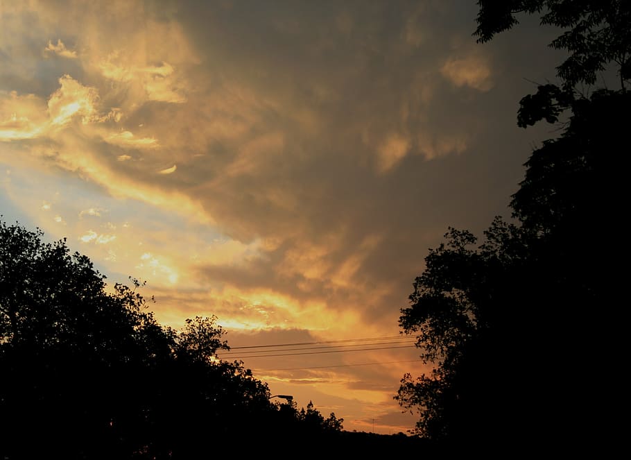 sunset, clouds, gold, light orange, yellow, shimmer, silhouette HD wallpaper