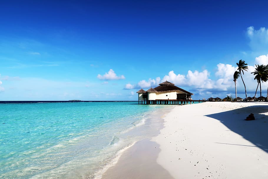 brown wooden hut above body of water, Maldives, Beach, Relax, HD wallpaper