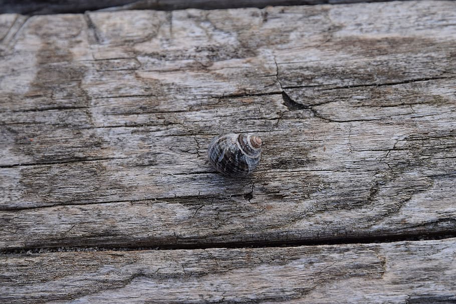 wood, background, textiles, old, wall, wood - material, textured HD wallpaper
