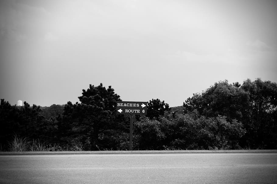 road, sign, route, beaches, trees, black and white, plant, sky HD wallpaper