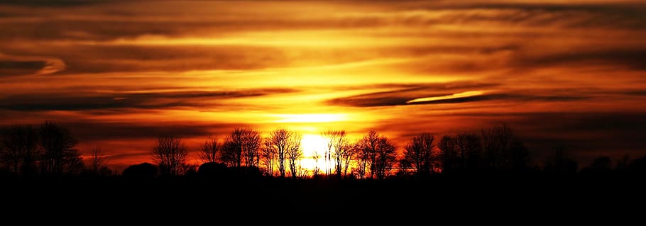 silhouette of leafless trees, sunset, evening sky, clouds, abendstimmung HD wallpaper