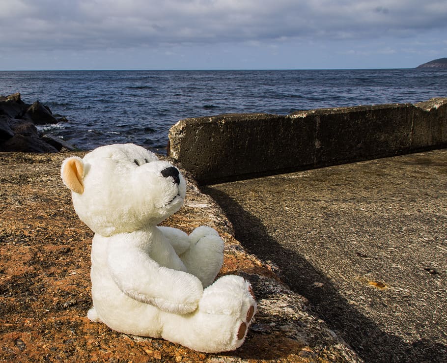 bear, bears, pier, sea, stones, view, white, brown, teddy, holiday HD wallpaper