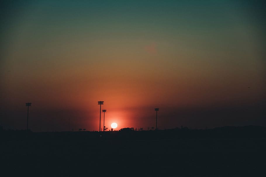 silhouette photo of post and tree at golden hour, two, black HD wallpaper
