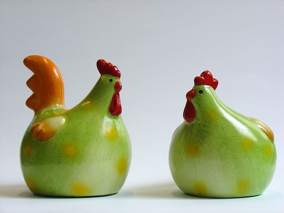 image, haan, them, chickens, green, still life, food, studio shot HD wallpaper