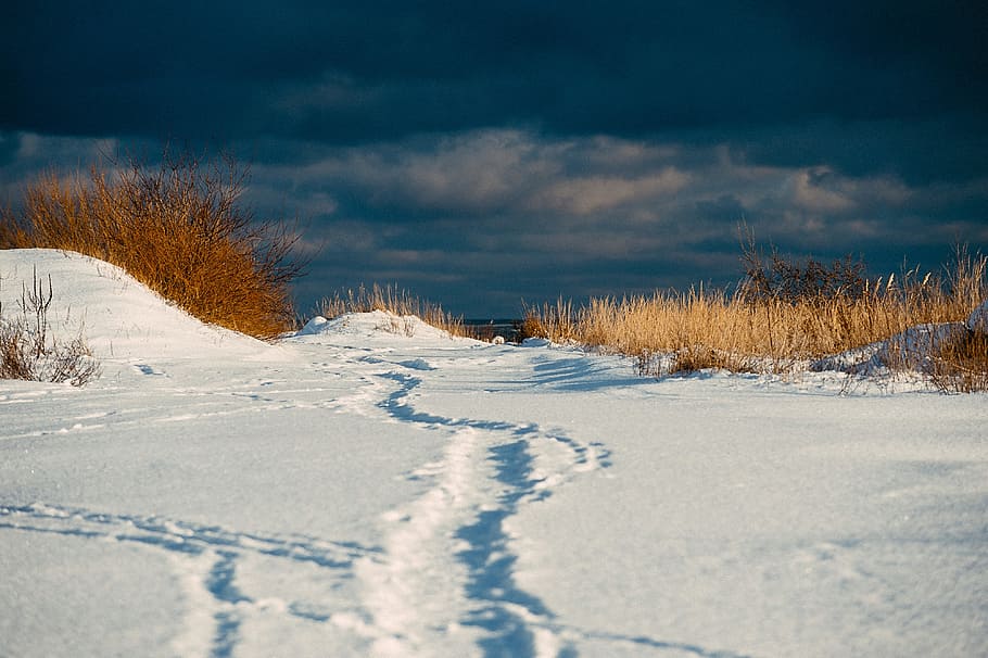 Winter path to sea, landscape, snow, nature, cold - Temperature HD wallpaper